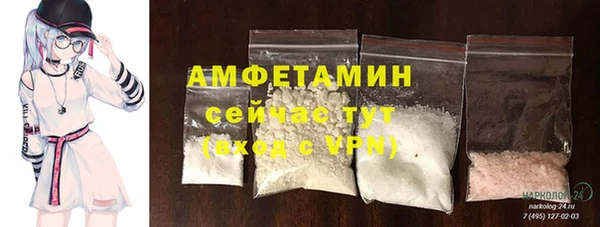 ГАЛЛЮЦИНОГЕННЫЕ ГРИБЫ Балахна