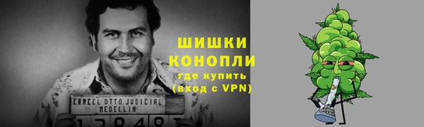 ГАЛЛЮЦИНОГЕННЫЕ ГРИБЫ Балахна