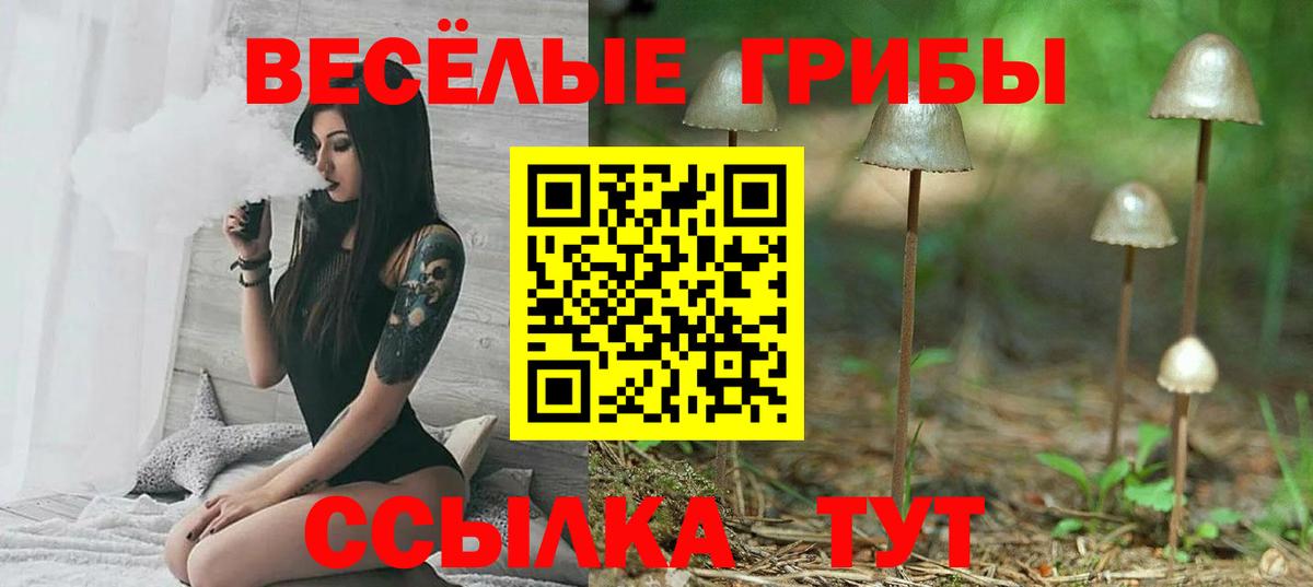Усть-Джегута  Галлюциногенные грибы Cubensis  Вход с VPN 